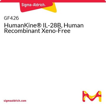 HumanKine® IL-28B, Human Recombinant Xeno-Free