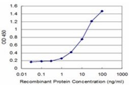 Monoclonal Anti-ESD antibody produced in mouse clone 1E1, purified immunoglobulin, buffered aqueous solution