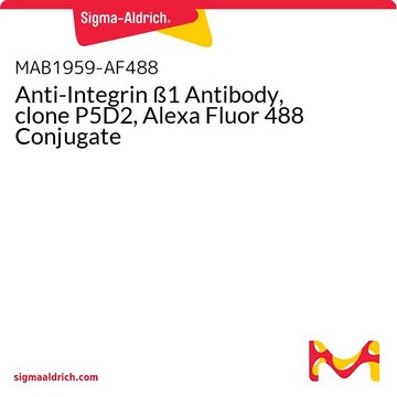 Anti-Integrin ß1 Antibody, clone P5D2, Alexa Fluor 488 Conjugate