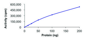 DYRK3, active, GST tagged human PRECISIO®, recombinant, expressed in E. coli, ≥70% (SDS-PAGE), buffered aqueous glycerol solution