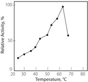 Pyruvate Oxidase from microorganisms lyophilized powder, ≥1.5 U/mg
