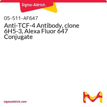 Anti-TCF-4 Antibody, clone 6H5-3, Alexa Fluor 647 Conjugate