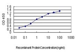 Monoclonal Anti-BCAR3 antibody produced in mouse clone 3G4, purified immunoglobulin, buffered aqueous solution
