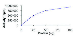DYRK2, active, GST tagged human PRECISIO®, recombinant, expressed in E. coli, ≥70% (SDS-PAGE), buffered aqueous glycerol solution