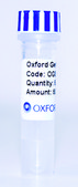 PSF-OXB20-BETAGAL - BACTERIAL BETA GALACTOSIDASE PLASMID plasmid vector for molecular cloning