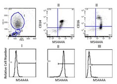 Anti-MS4A4A Antibody, clone 3F2 clone 3F2, from mouse
