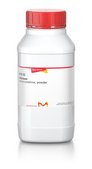 Cellulose microcrystalline, powder
