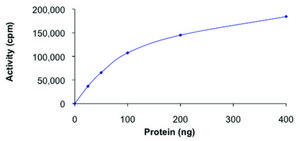 CK1 δ, active, GST tagged human PRECISIO® Kinase, recombinant, expressed in baculovirus infected Sf9 cells, ≥70% (SDS-PAGE), buffered aqueous glycerol solution