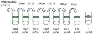 Rat Fractalkine ELISA Kit for serum, plasma and cell culture supernatant