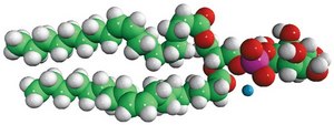 18:1 PI Avanti Research™ - A Croda Brand