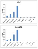 Anti-Histone H3, clone 1B1-B2 Antibody clone 1B1-B2, from mouse