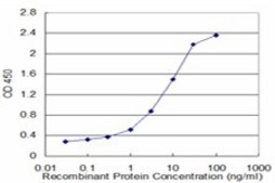 Monoclonal Anti-WDR36 antibody produced in mouse clone 1D6, purified immunoglobulin, buffered aqueous solution