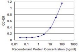 Monoclonal Anti-TWSG1 antibody produced in mouse clone 2F3, purified immunoglobulin, buffered aqueous solution