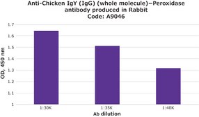 Anti-Chicken IgY (IgG) (whole molecule)−Peroxidase antibody produced in rabbit affinity isolated antibody, buffered aqueous solution