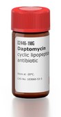 Daptomycin cyclic lipopeptide antibiotic