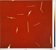 Silver nanowires diam. × L 200  nm × 10 μm, 0.5% (isopropyl alcohol suspension)