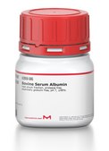 Bovine Serum Albumin heat shock fraction, protease free, essentially globulin free, pH 7, ≥98%