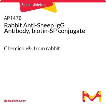 Rabbit Anti-Sheep IgG Antibody, biotin-SP conjugate Chemicon&#174;, from rabbit