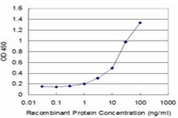 Monoclonal Anti-LAIR1, (C-terminal) antibody produced in mouse clone 2G4, purified immunoglobulin, buffered aqueous solution
