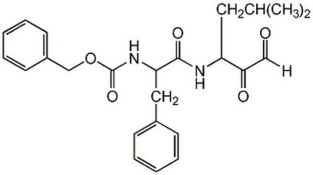Cathepsin S Inhibitor - Calbiochem Cathepsin S Inhibitor is a slow, tight-binding reversible inhibitor of cathepsin S (Ki = 185 pM). Exhibits 410-fold greater selectivity over cathepsin B (Ki = 76 nM).