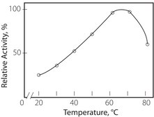 Invertase from Candida utilis Grade X, ≥300 units/mg solid