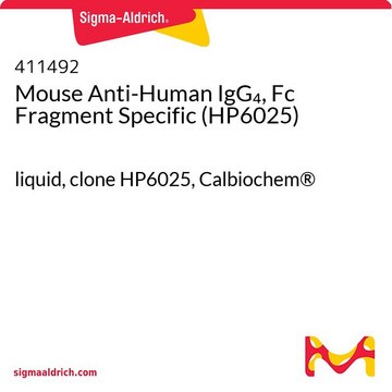 Mouse Anti-Human IgG4, Fc Fragment Specific (HP6025) liquid, clone HP6025, Calbiochem&#174;