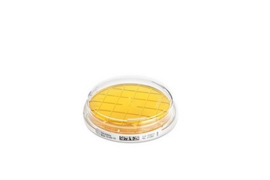 Tryptic Soy Agar - Ready-to-use Contact Plates Sodium Thiosulfate, Tween&#174;, Lecithin, Histidine, ICR plate with non-lockable lid, plate diam. 55&#160;mm, irradiated, pkg of 10&#160;plates Triple packed, suitable for surface monitoring