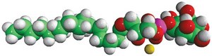 Soy Lyso PI Avanti Research™ - A Croda Brand 850090P, powder