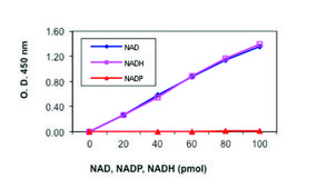 NAD/NADH Quantitation Kit sufficient for 100 colorimetric&nbsp;tests