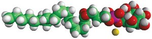 Liver Lyso PI Avanti Research™ - A Croda Brand 850091P, powder