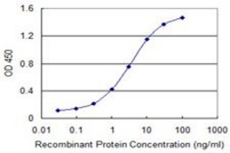 Monoclonal Anti-RCBTB1 antibody produced in mouse clone 1E4, purified immunoglobulin, buffered aqueous solution