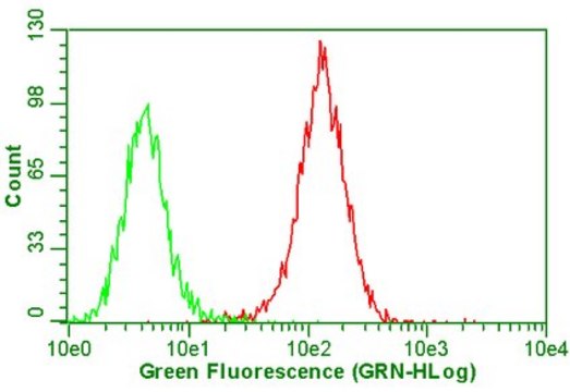 Anti-Integrin &#945;V&#946;5 Antibody, clone P1F6, azide free clone P1F6, Chemicon&#174;, from mouse