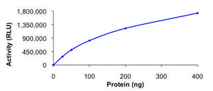 PIP5K1C, active, GST tagged human PRECISIO®, recombinant, expressed in baculovirus infected Sf9 cells, ≥70% (SDS-PAGE), buffered aqueous glycerol solution