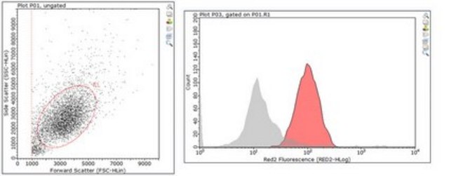 Anti-Integrin &#946;1 Antibody, clone MB1.2 Antibody, Alexa Fluor&#8482; 647 Conjugate clone MB1.2, from rat, ALEXA FLUOR&#8482; 647
