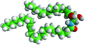 C24:1 Ceramide (d17:1/24:1(15Z)) Avanti Research™ - A Croda Brand 860650P, powder
