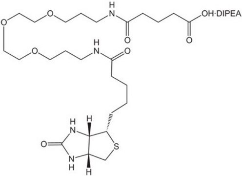 N-Biotinyl-NH-(PEG)2-COOH . DIPEA (20 atoms) Novabiochem&#174;