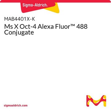 Ms X Oct-4 Alexa Fluor&#8482; 488 Conjugate