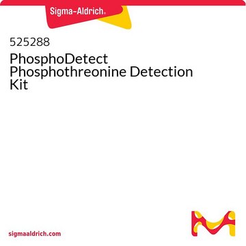 PhosphoDetect Phosphothreonine Detection Kit