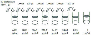 Human FGF-6 ELISA Kit for serum, plasma, cell culture supernatant and urine