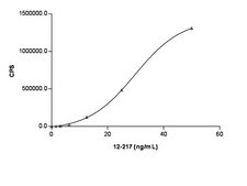 Anti-Phosphotyrosine Antibody, clone PY20, HRP Conjugate clone PY20, Upstate®, from mouse