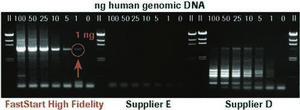 FastStart™ ハイフィデリティPCRシステム 5 unit/μL, suitable for PCR, High Fidelity PCR, hotstart, Multiplex PCR