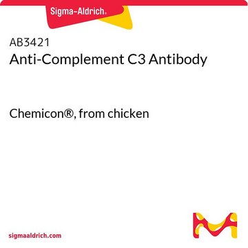 Anti-Complement C3 Antibody Chemicon&#174;, from chicken