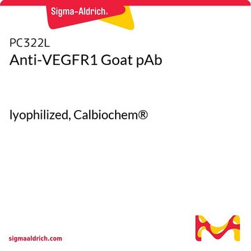 Anti-VEGFR1 Goat pAb lyophilized, Calbiochem&#174;