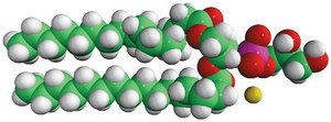 16:0 PG Avanti Research™ - A Croda Brand