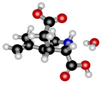 Ácido kaínico monohydrate ≥99% (TLC)