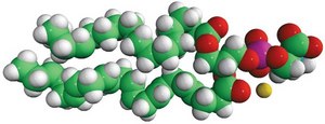 18:0-22:6 PS 1-stearoyl-2-docosahexaenoyl-sn-glycero-3-phospho-L-serine (sodium salt), chloroform