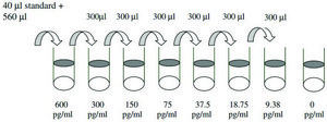 Mouse SDF-1 α / CXCL12 α ELISA Kit for serum, plasma and cell culture supernatant