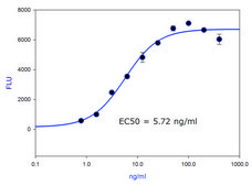 BDNF human Carrier free, recombinant, expressed in E. coli, ≥95% (SDS-PAGE), suitable for cell culture