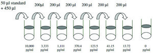 Human EG-VEGF / PK1  ELISA Kit for serum, plasma, cell culture supernatant and urine