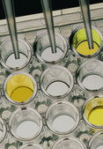 TRANSIA® PLATE Salmonella Gold 10X BioControl, ELISA test for detection of Salmonella in food and environmental samples